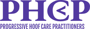 PHCP logo purple