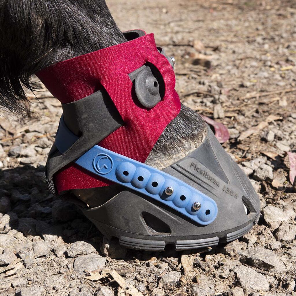 Progressive Hoof Care Practitioners » Introduction to Flex Boots™